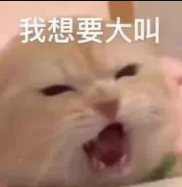 DƬ